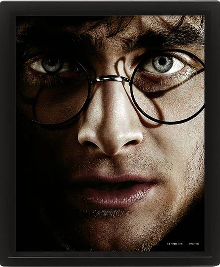 Harry Potter vs Voldemort í ramma