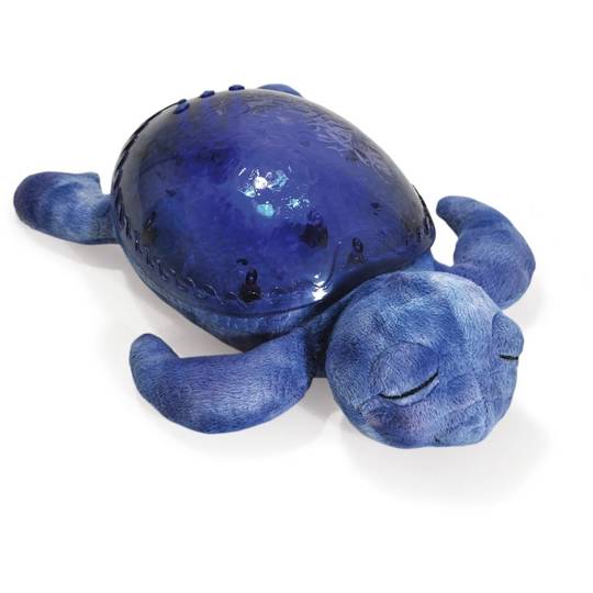Cloud b Tranquil Turtle