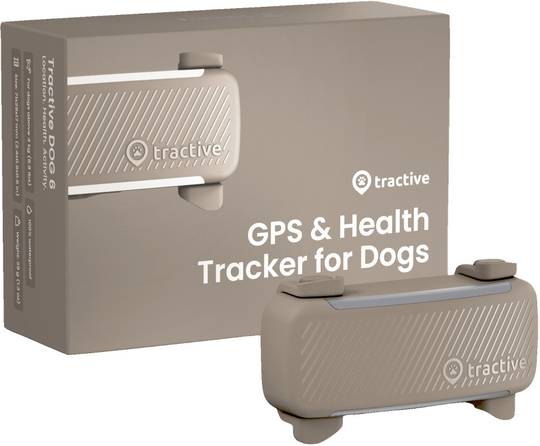 Tractive 6 GPS staðsetningartæki fyrir hunda