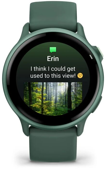 Product image not available for Garmin Vivoactive 6 - Grænt