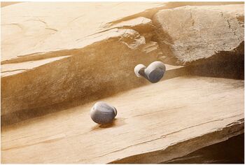 Jabra Elite 8 Active þráðlaus heyrnartól - Svört 