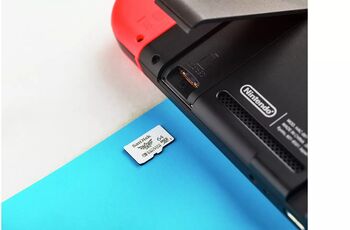 SanDisk 64 GB microSDXC minniskort fyrir Nintendo Switch 1