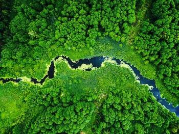 Miele UltraPhase 2 þvottaefni