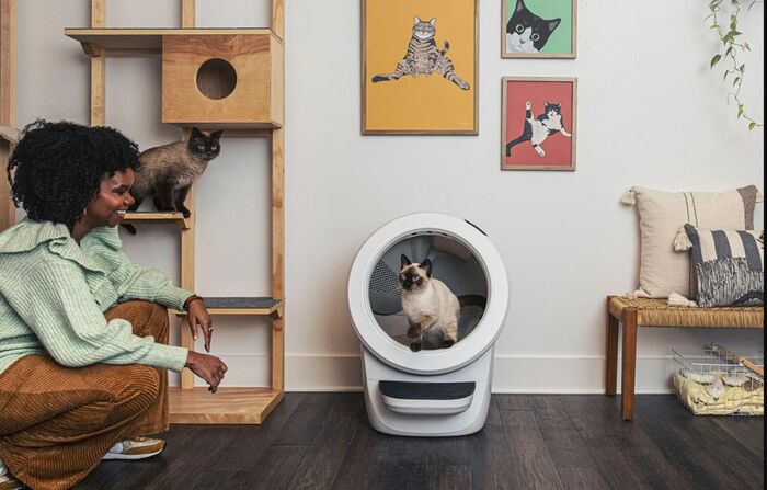 Litter-Robot 4 sjálfvirkt kattaklósett - Hvítt