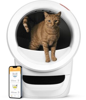 Litter-Robot 4 sjálfvirkt kattaklósett - Hvítt