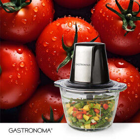 Gastronoma mini hakkari 500 W