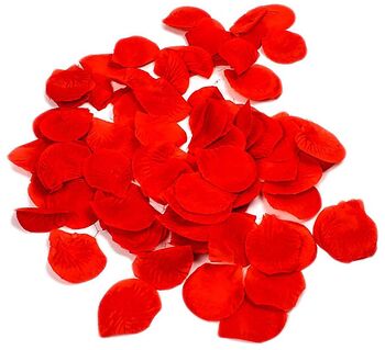 Dreamtoys Pleasure Box - Let's Play Together fun for two