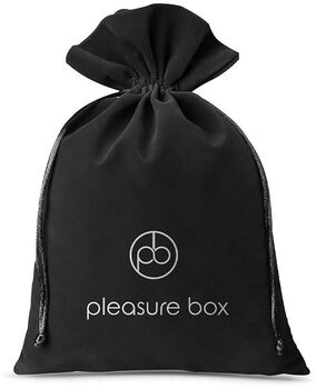 Dreamtoys Pleasure Box - Let's Play Together fun for two