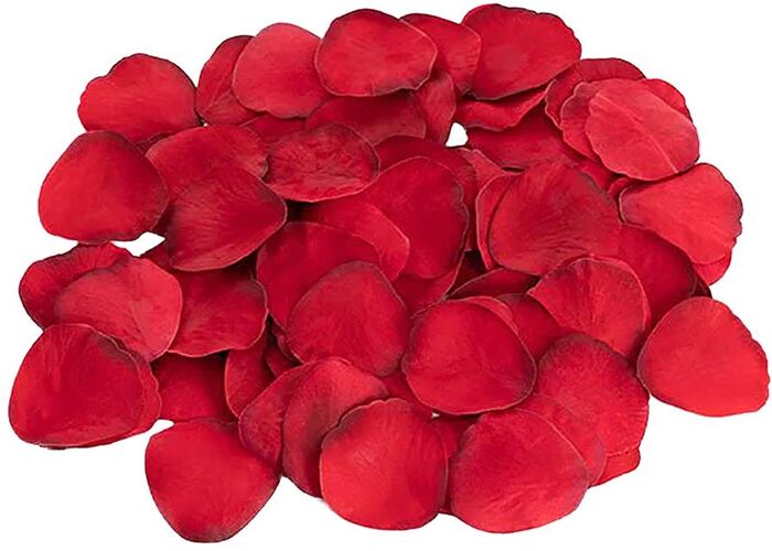 Dreamtoys Amour - The Magic of Love wonderful wand kit