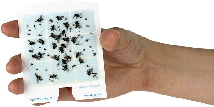 DynaTrap límspjald áfylling f. DT3005W