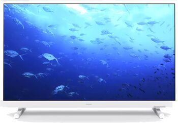 Philips 24" PHS5537 LED sjónvarp (2022)