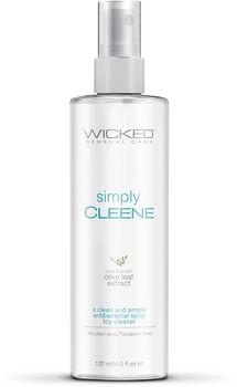 Wicked Simply Cleene hreinsisprey - 120 ml