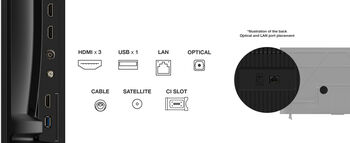 TCL 55" P69K sjónvarp (2025)