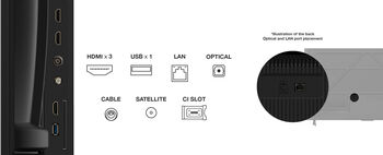 TCL 65" P65K sjónvarp (2025)
