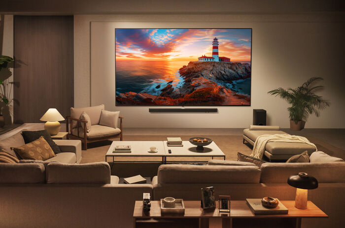 LG 65" QNED85 sjónvarp (2025)