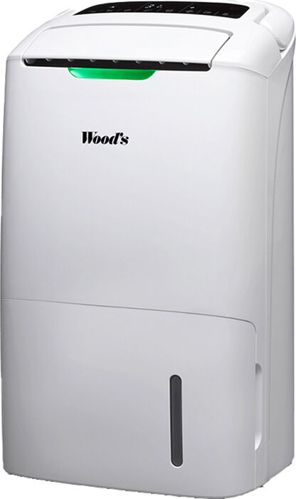 Woods Hybrid lofthreinsitæki og rakaþéttir AD20G