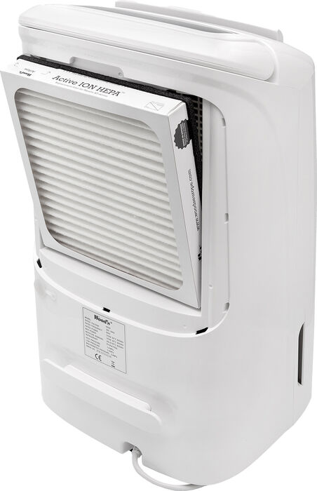 Woods Hybrid lofthreinsitæki og rakaþéttir AD20G