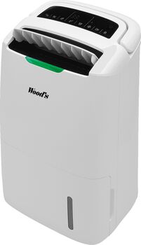 Woods Hybrid lofthreinsitæki og rakaþéttir AD20G