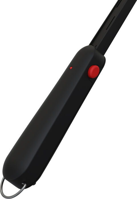 Nord flugnaspaði
