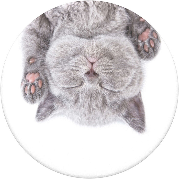PopSockets Cat Nap