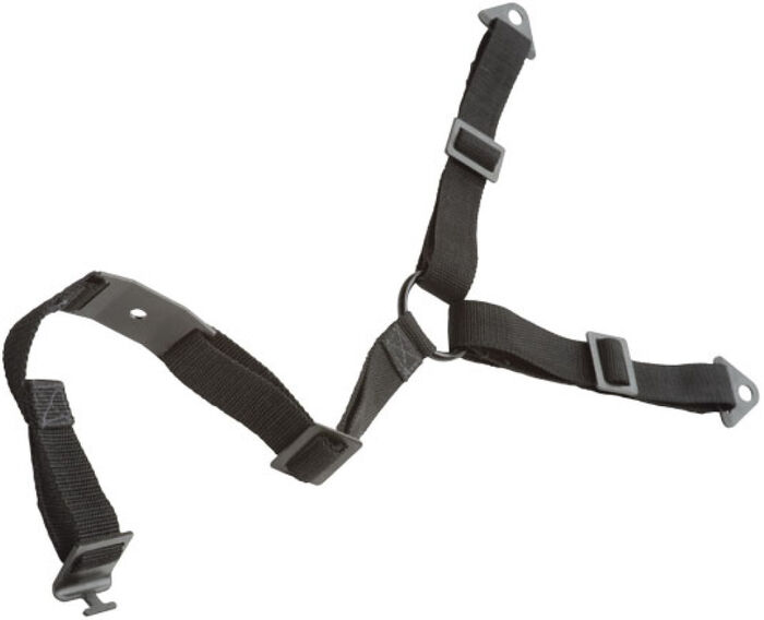 Sanus öryggisfesting fyrir sjónvarp