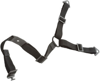 Sanus öryggisfesting fyrir sjónvarp