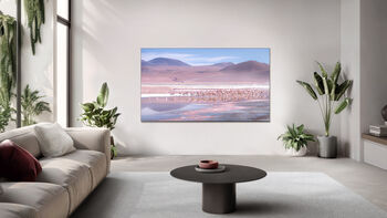 TCL 98" QLED810K sjónvarp (2025)