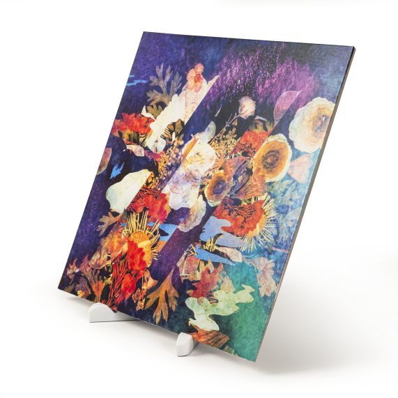 Crosley 5-í-1 hreinsisett fyrir plötuspilara