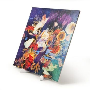 Crosley 5-í-1 hreinsisett fyrir plötuspilara