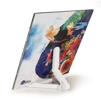 Crosley 5-í-1 hreinsisett fyrir plötuspilara