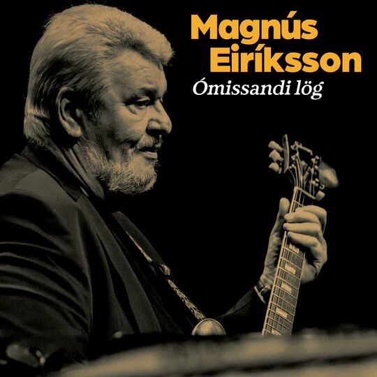 Magnús Eiríksson - Ómissandi lög 2LP