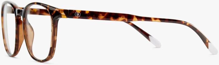 Barner Dalston Glossy +1,5 skjágleraugu - Tortoise