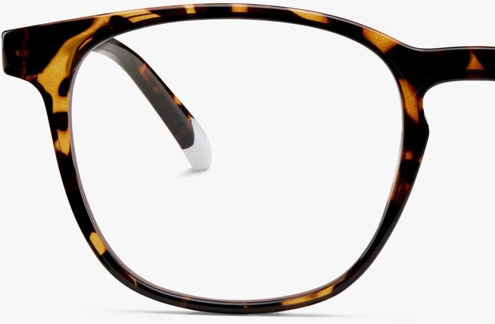 Barner Dalston Glossy +1 skjágleraugu - Tortoise
