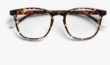Barner Dalston Glossy +1 skjágleraugu - Tortoise