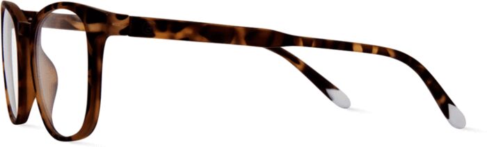 Barner Dalston skjágleraugu - Tortoise