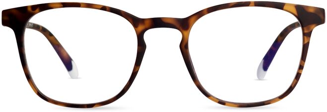 Barner Dalston skjágleraugu - Tortoise