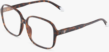 Barner Pascal +1 skjágleraugu - Tortoise