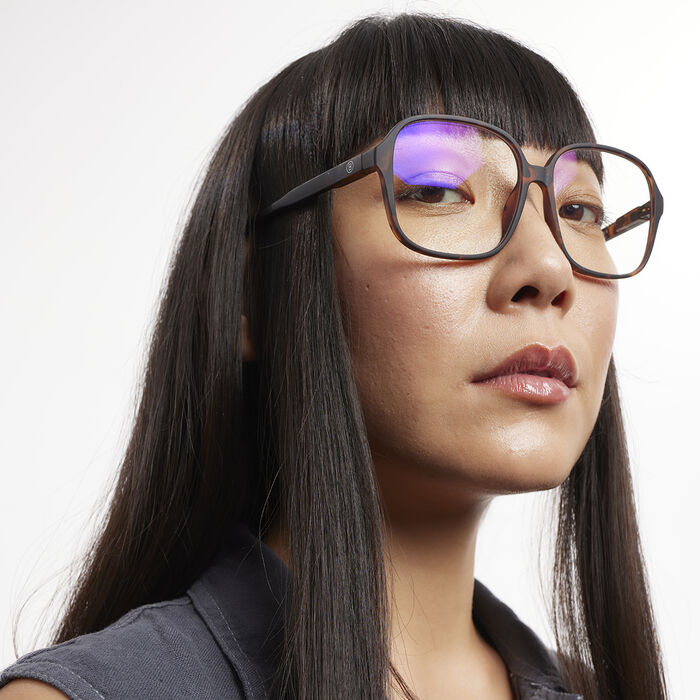 Barner Pascal skjágleraugu - Tortoise