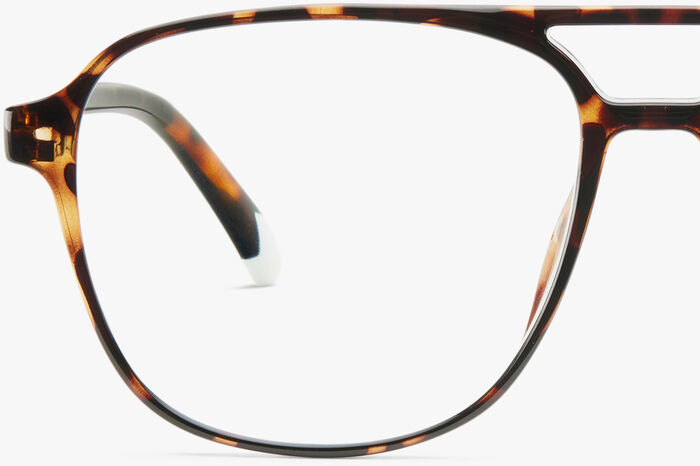 Barner Brad Glossy +2,5 skjágleraugu - Turtoise