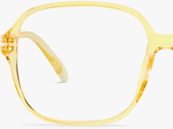 Barner Pascal Glossy skjágleraugu - Quartz