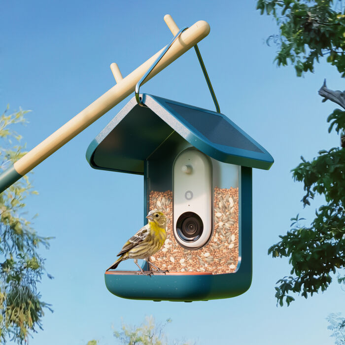 BirdBuddy fuglahús m. myndavél og sólarhleðslu - Blátt
