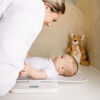 Alecto barna/gæludýravog - Hvít