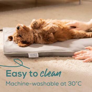 Beurer hitamotta f. gæludýr - Grá