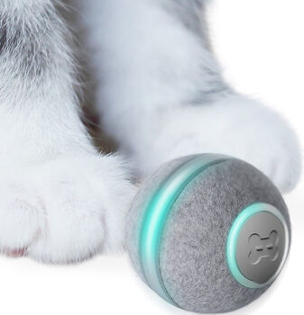 Cheerble Ball M1 gæludýraleikfang - Grátt