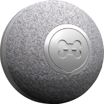 Cheerble Ball M1 gæludýraleikfang - Grátt