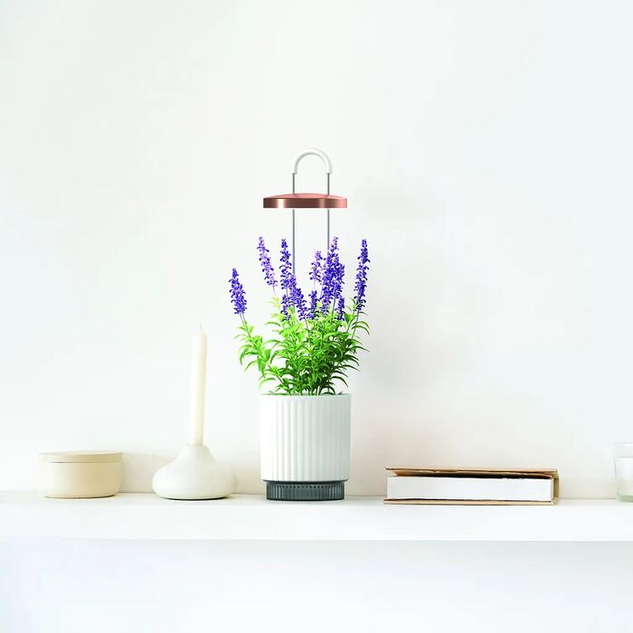 Click & Grow HydroVase - Hvítur 