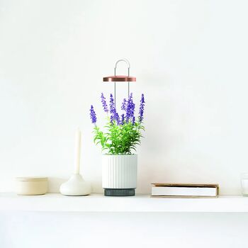 Click & Grow HydroVase - Hvítur 