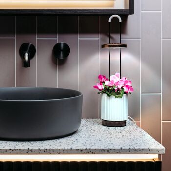 Click & Grow HydroVase - Hvítur 