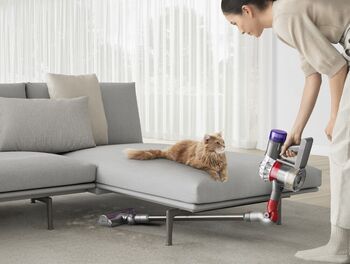 Dyson V8 Absolute skaftryksuga 