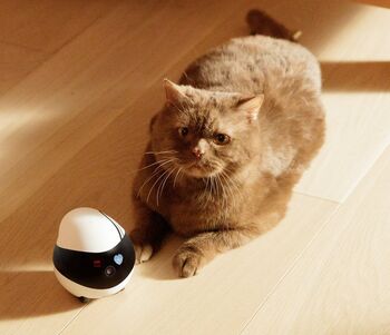 EnaBot EBO AIR öryggismyndavél